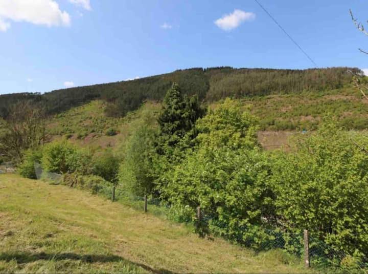 Pontrhydyfen Afan Houseヴィラ エクステリア 写真